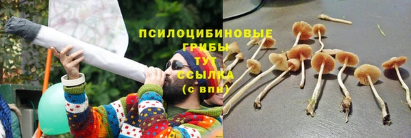 MESCALINE Богородицк